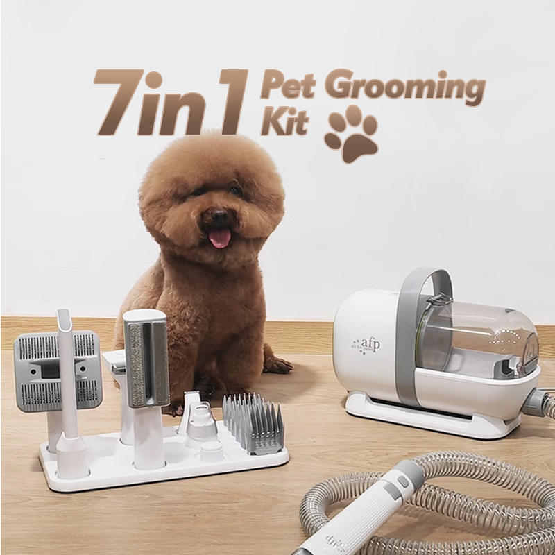Профессиональный набор для ухо – обзор и цена Grooming Scissors